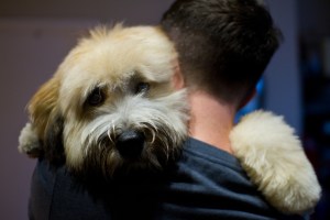 Murphy and Tim Murphy